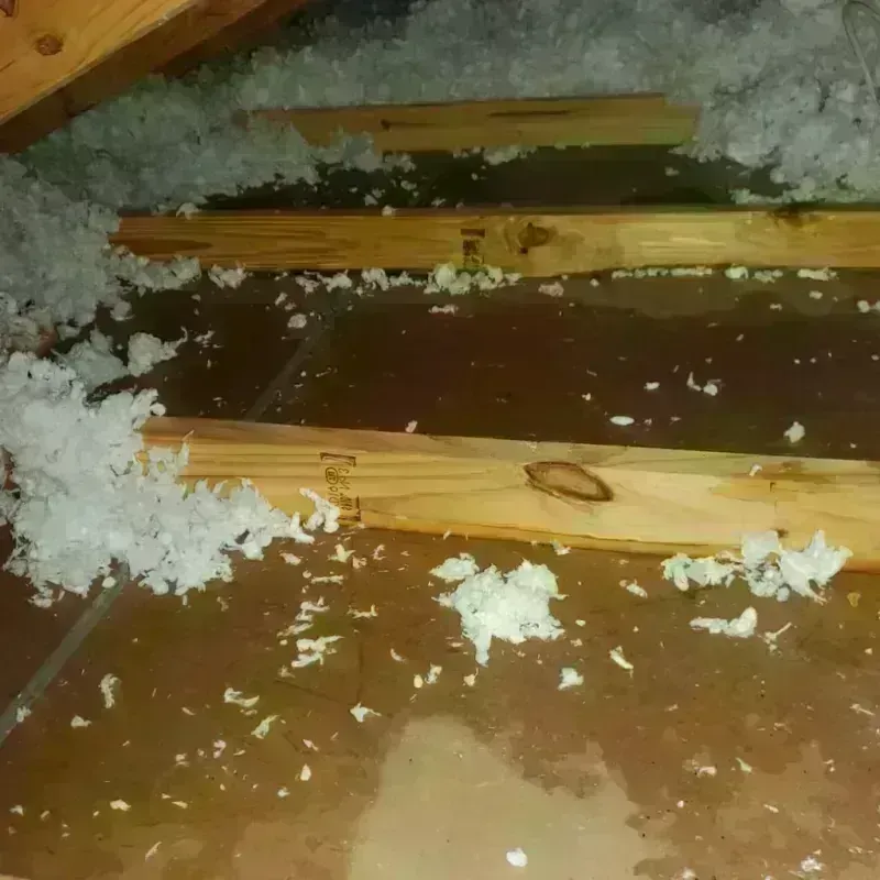 Attic Water Damage in Milton, PA