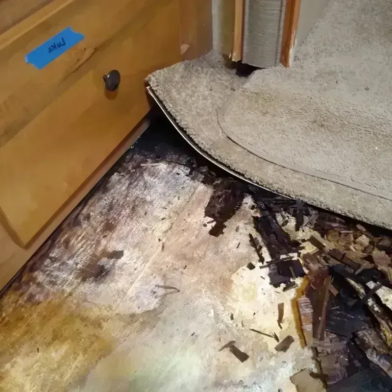 Best Wood Floor Water Damage Service in Milton, PA